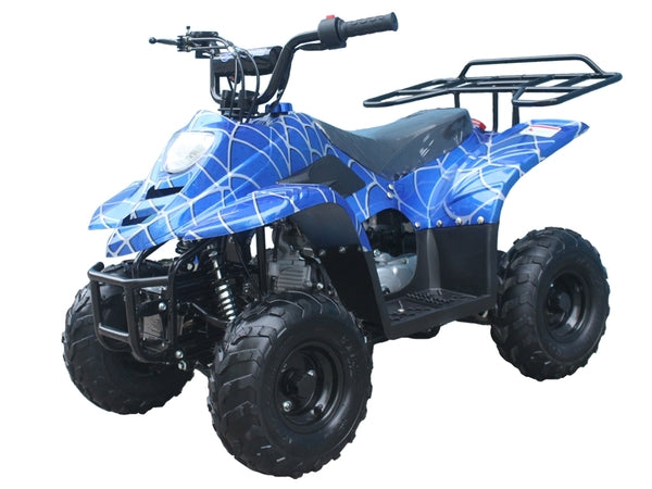 Tao Tao B110 Youth ATV
