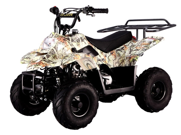 Tao Tao B110 Youth ATV