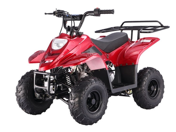 Tao Tao B110 Youth ATV