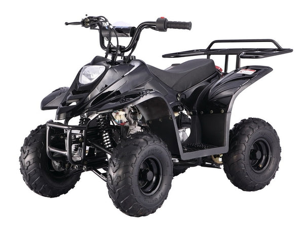 Tao Tao B110 Youth ATV