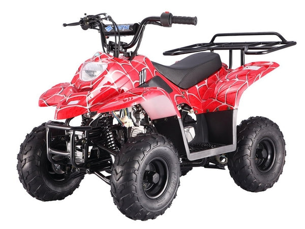 Tao Tao B110 Youth ATV