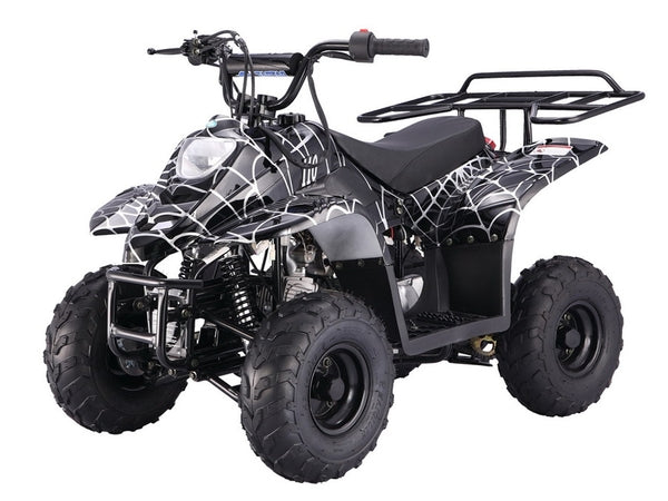Tao Tao B110 Youth ATV