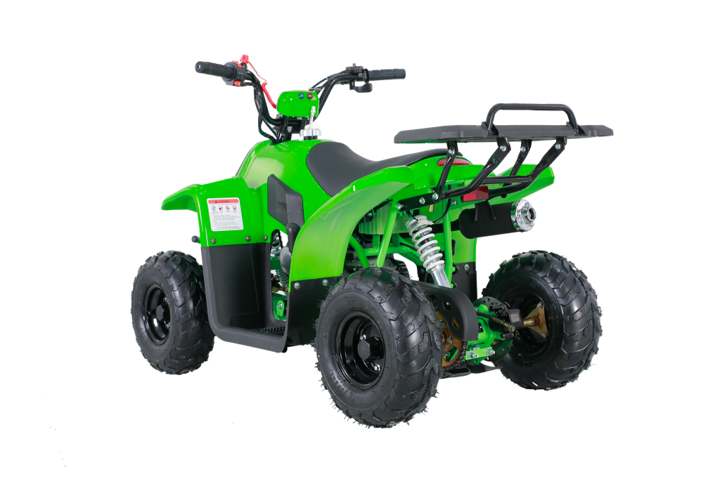 Tao Tao Rock110 Youth ATV