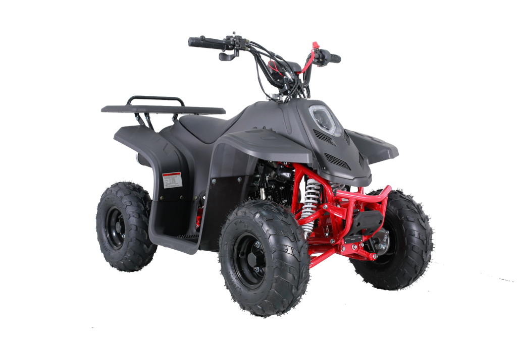 Tao Tao Rock110 Youth ATV