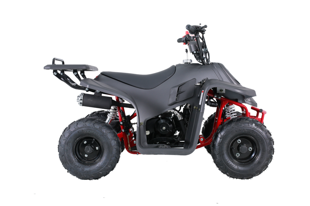 Tao Tao Rock110 Youth ATV