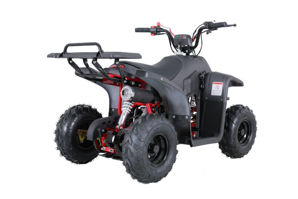 Tao Tao Rock110 Youth ATV