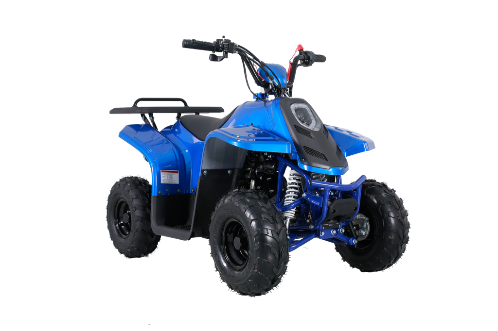 Tao Tao Rock110 Youth ATV