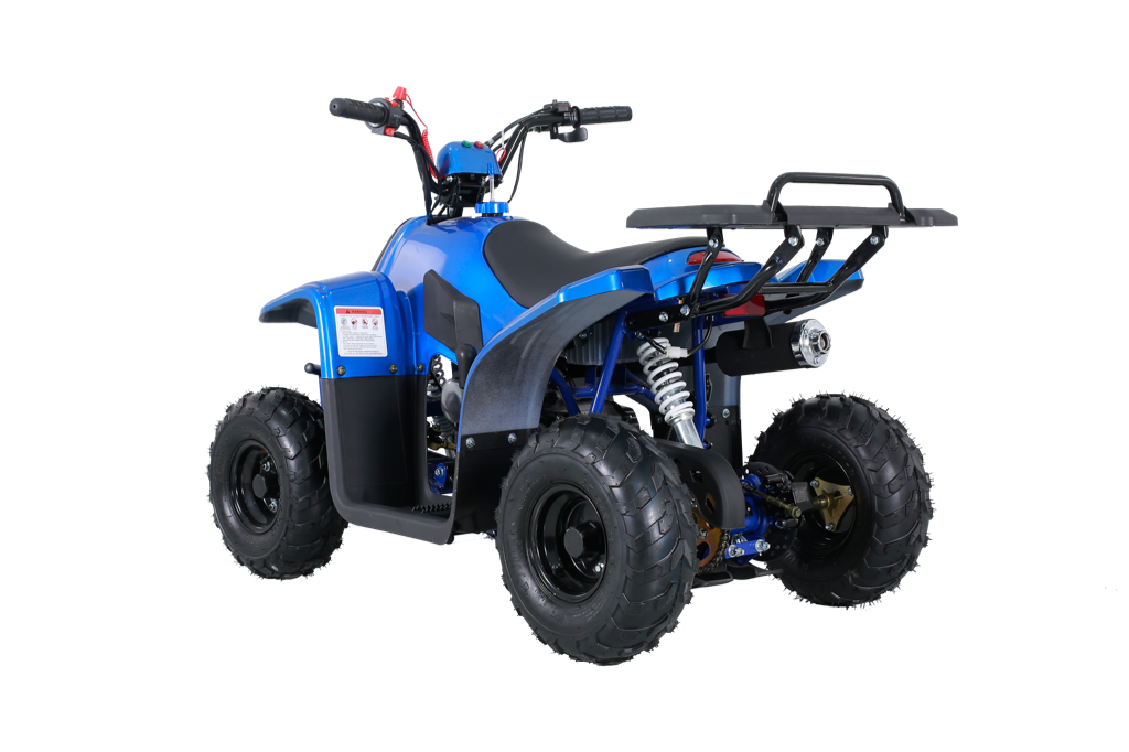 Tao Tao Rock110 Youth ATV