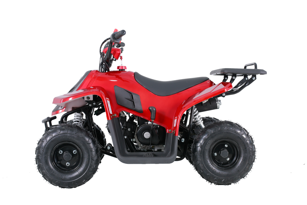Tao Tao Rock110 Youth ATV