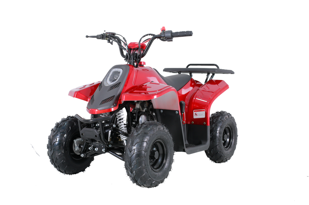 Tao Tao Rock110 Youth ATV