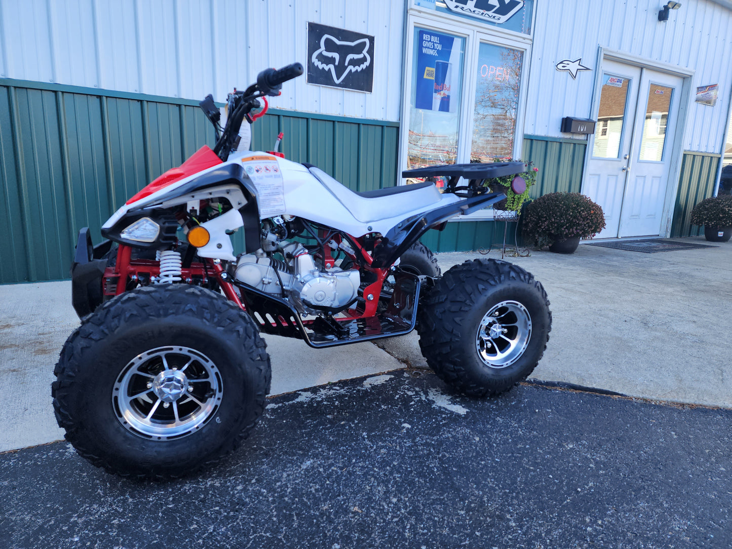Tao Tao New Cheetah Platinum Youth ATV
