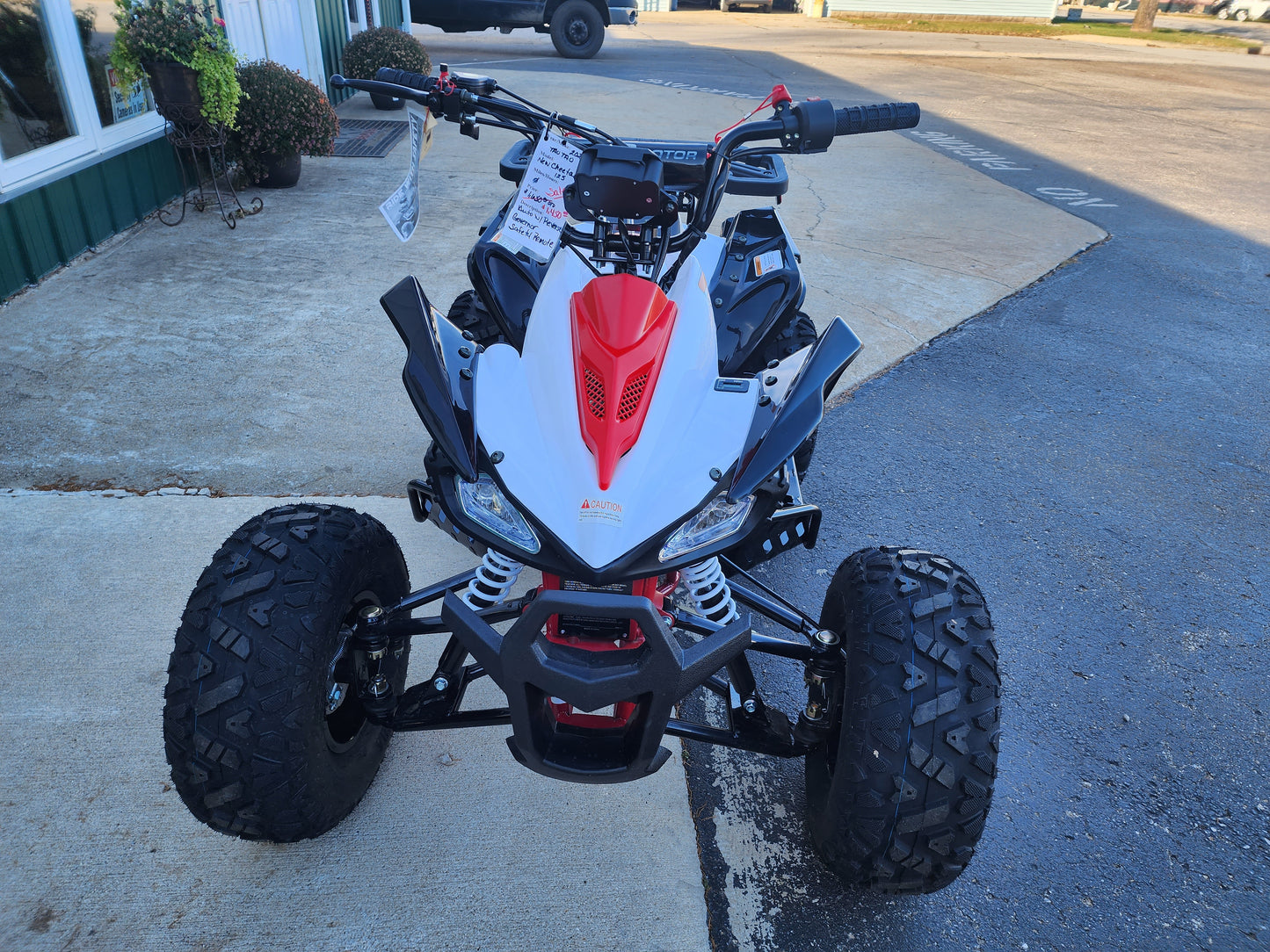 Tao Tao New Cheetah Platinum Youth ATV
