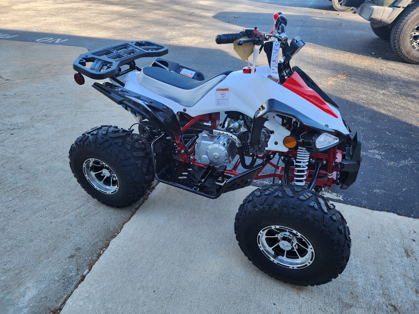 Tao Tao New Cheetah Platinum Youth ATV