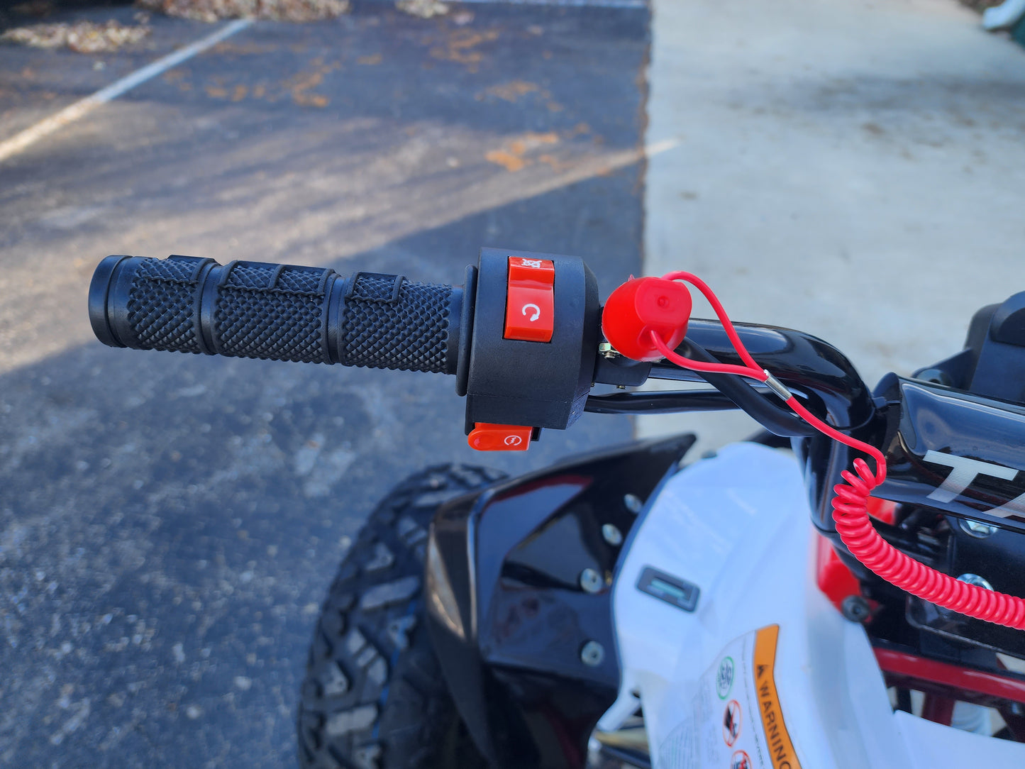 Tao Tao New Cheetah Platinum Youth ATV