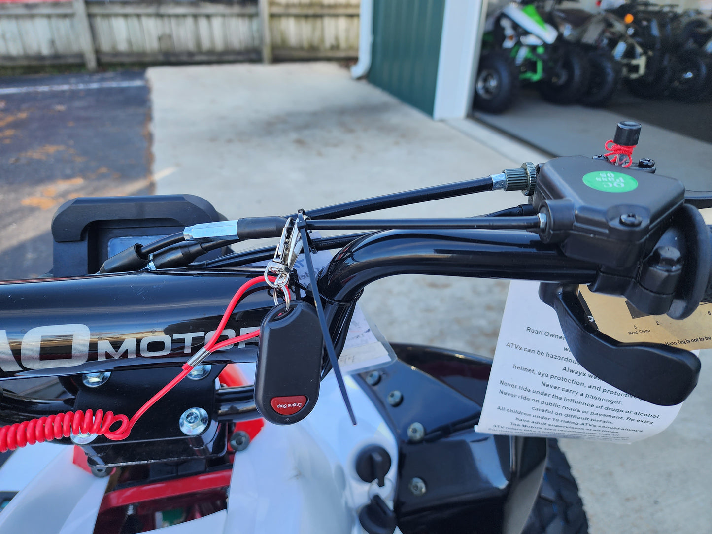 Tao Tao New Cheetah Platinum Youth ATV