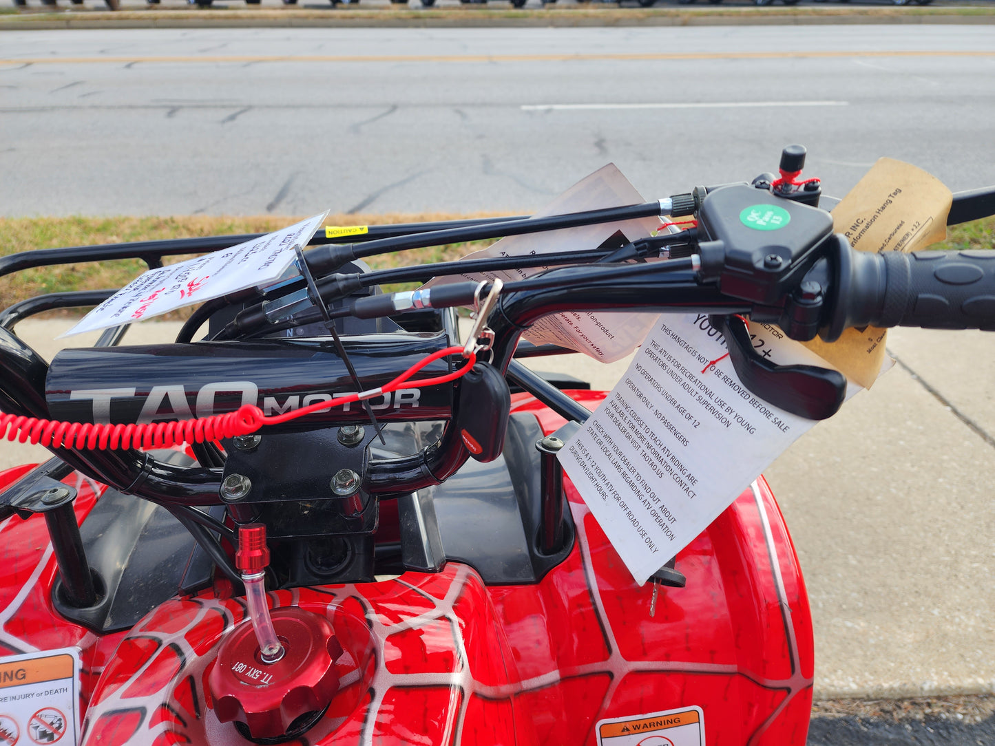Tao Tao D125 Youth ATV