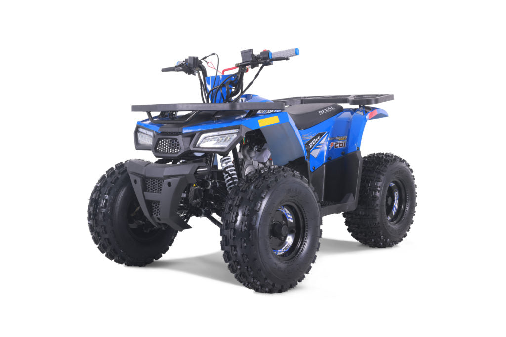 Tao Tao Rival Mudhawk10 Youth ATV