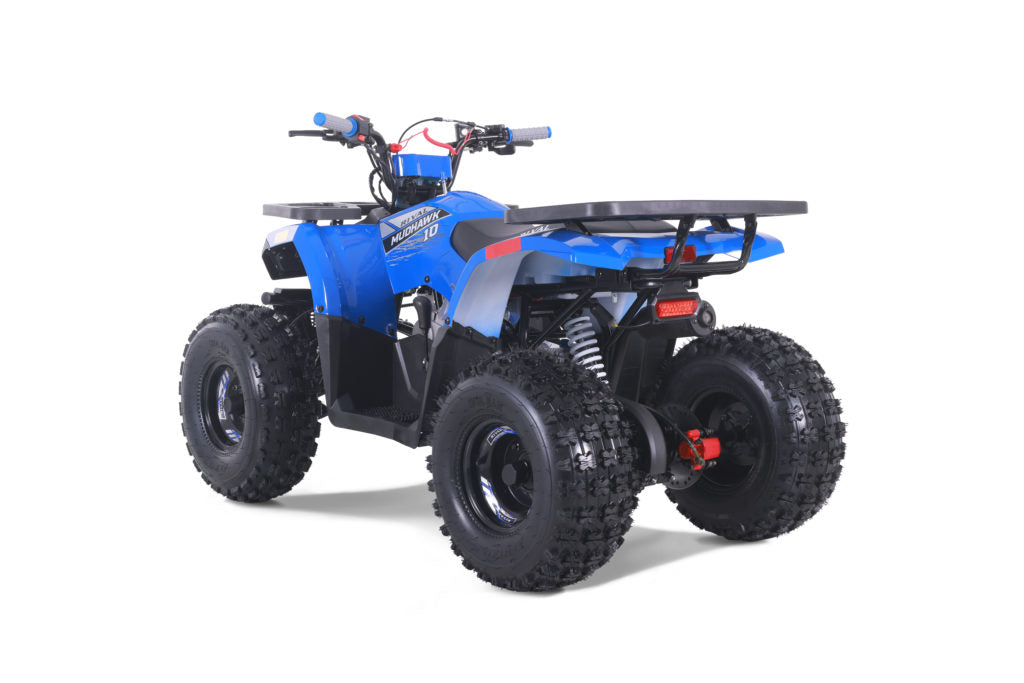 Tao Tao Rival Mudhawk10 Youth ATV
