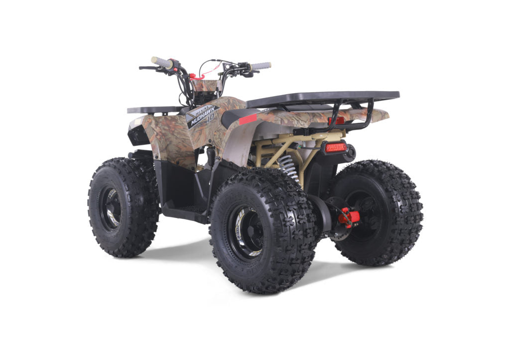 Tao Tao Rival Mudhawk10 Youth ATV