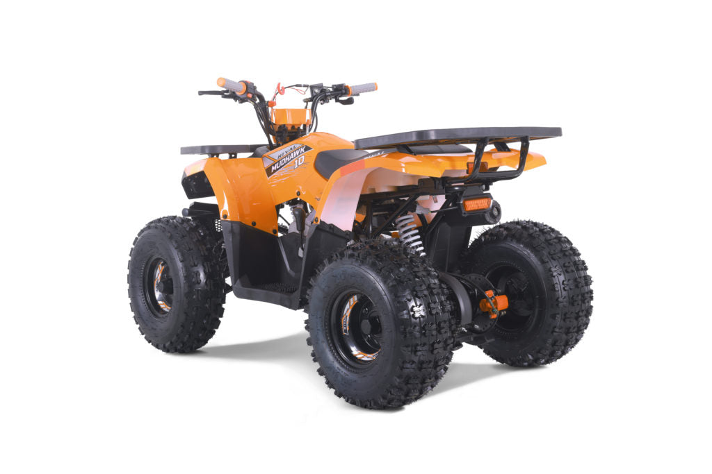Tao Tao Rival Mudhawk10 Youth ATV