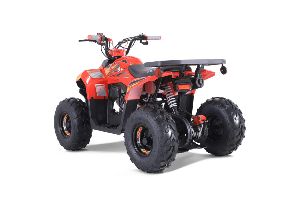 Tao Tao Rival MudHawk6 Youth ATV