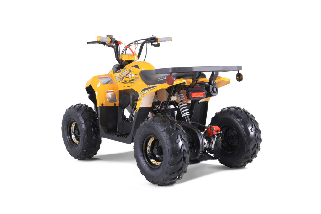 Tao Tao Rival MudHawk6 Youth ATV