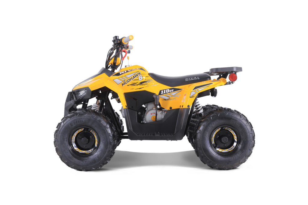 Tao Tao Rival MudHawk6 Youth ATV