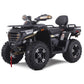 Denago Freelander 300Fi ATV