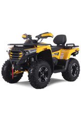 Denago Freelander 300Fi ATV