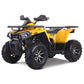 Denago Mudhawk200FI ATV