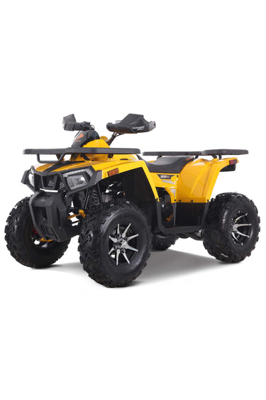 Denago Mudhawk200FI ATV