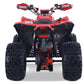 Denago Trailhawk 10FI ATV Youth