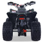 Denago Trailhawk 10FI ATV Youth