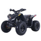 Denago Trailhawk 10FI ATV Youth