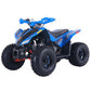 Denago Trailhawk 10FI ATV Youth