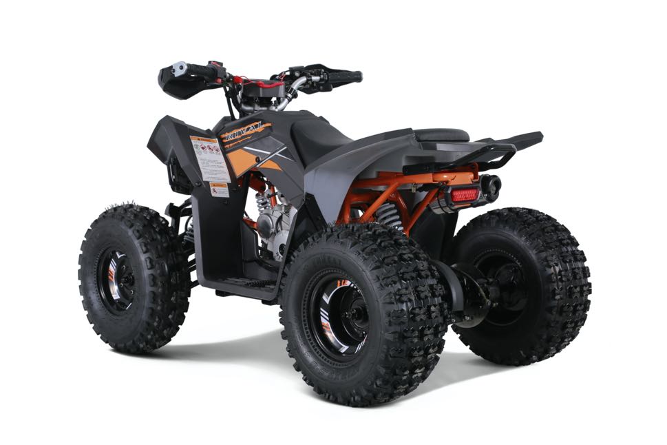 Tao Tao Rival TrailHawk10 Youth ATV