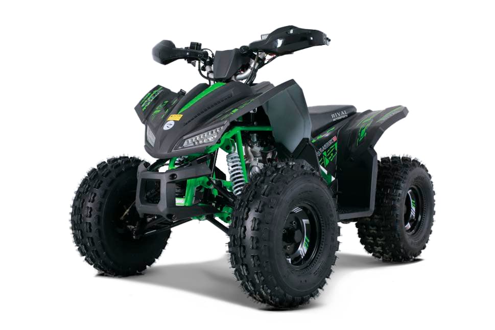 Tao Tao Rival TrailHawk10 Youth ATV