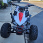 Tao Tao New Cheetah Platinum Youth ATV