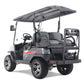 2024 Tao Tao Champ E Electric Golf Cart